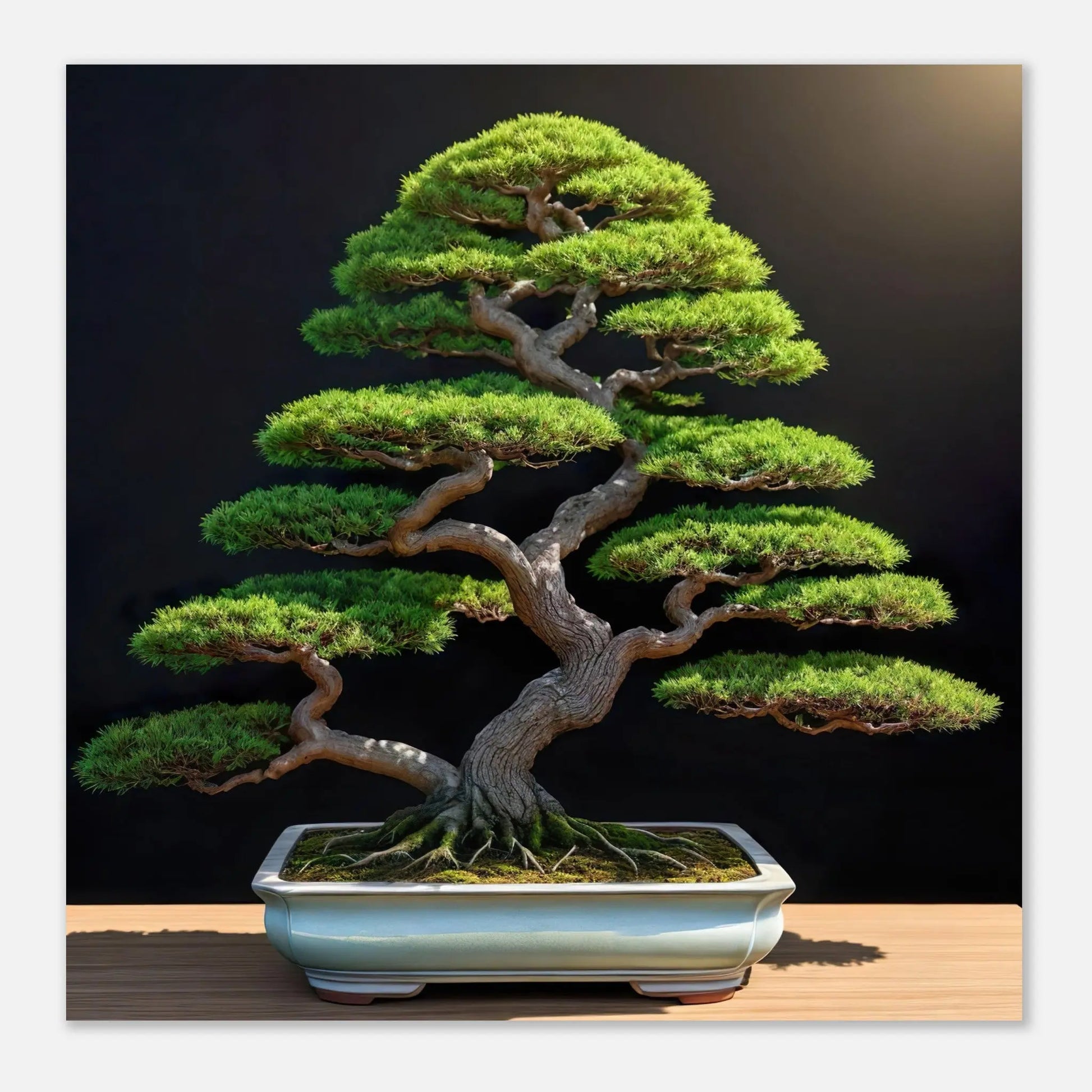 Aluminiumdruck - Bonsai - Foto Stil, KI-Kunst - RolConArt, Pflanzen,
