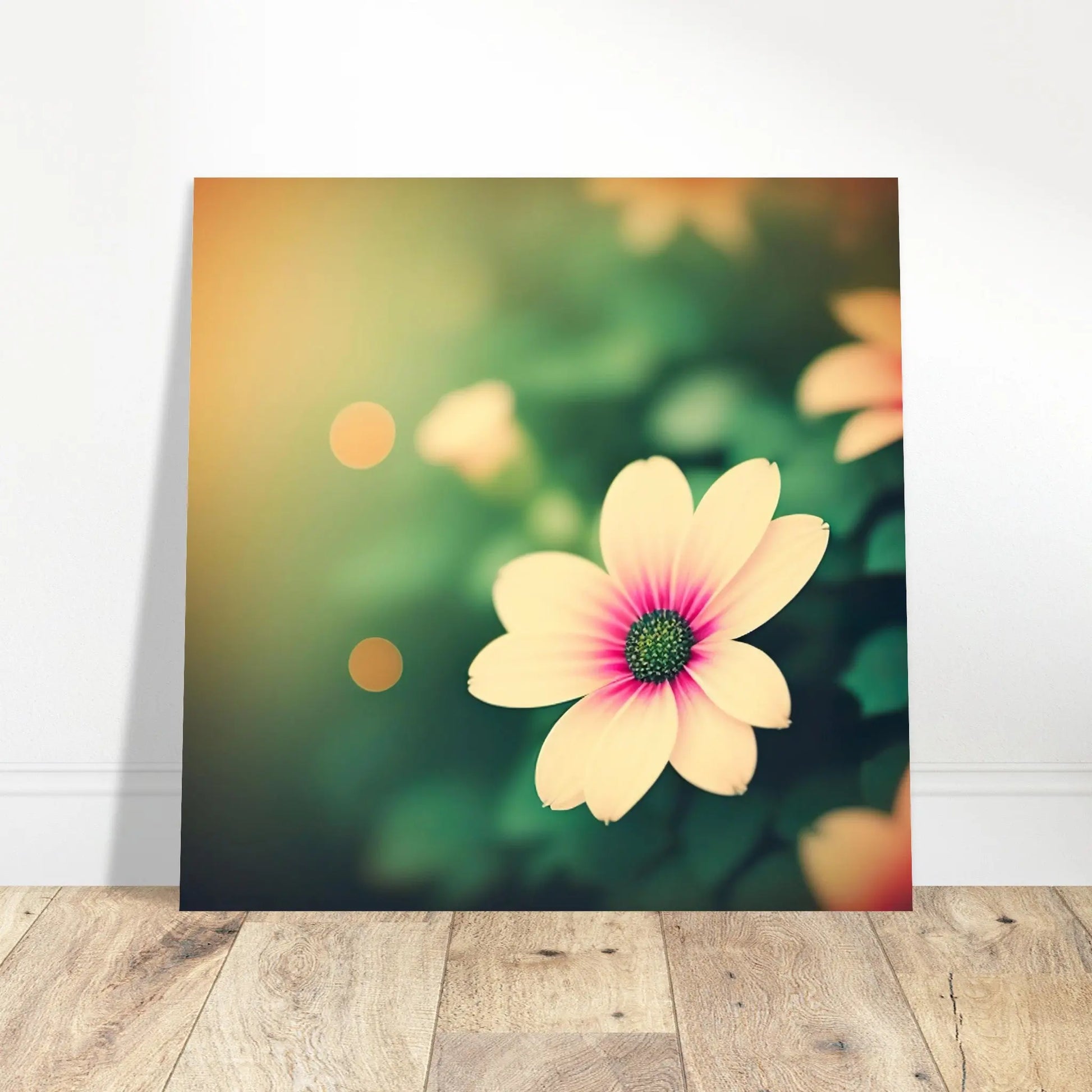 Aluminiumdruck - Kapkörbchen Blume - Foto Stil, KI-Kunst - RolConArt, Pflanzen,