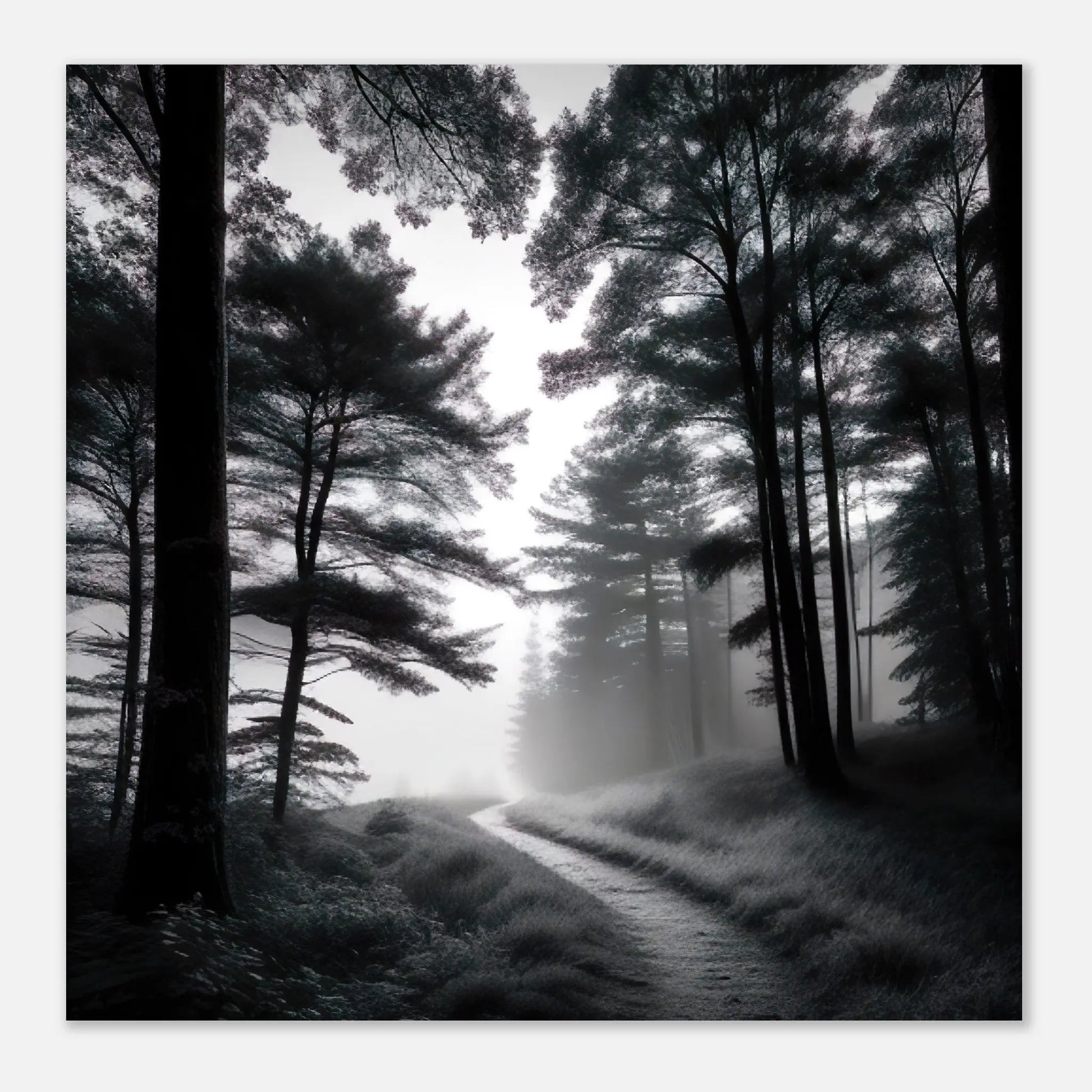 Moderner Forex-Druck - Landschaft - Schwarz-Weiß, Foto Stil, KI-Kunst - RolConArt, Landschaften,