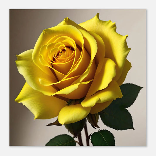 Aluminiumdruck - Gelbe Rose - Foto Stil, KI-Kunst - RolConArt, Pflanzen, 