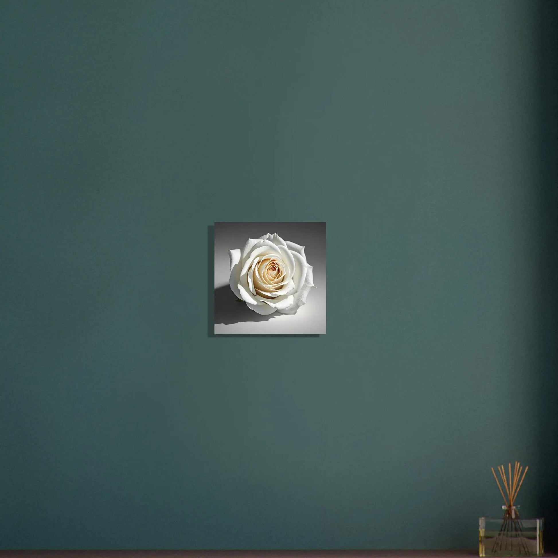 Aluminiumdruck - Weiße Rose - Foto Stil, KI-Kunst - RolConArt, Pflanzen, 30x30-cm-12x12