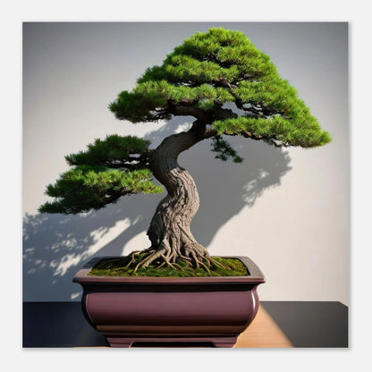 Aluminiumdruck - Bonsai - Foto Stil, KI-Kunst - RolConArt, Pflanzen, 