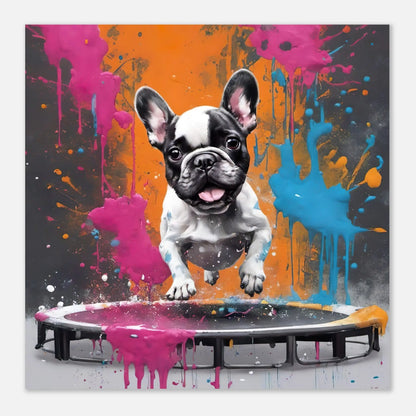 Aluminiumdruck - Französische Bulldogge - Splash Art Stil, KI-Kunst RolConArt