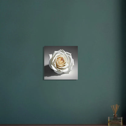 Aluminiumdruck - Weiße Rose - Foto Stil, KI-Kunst - RolConArt, Pflanzen, 40x40-cm-16x16