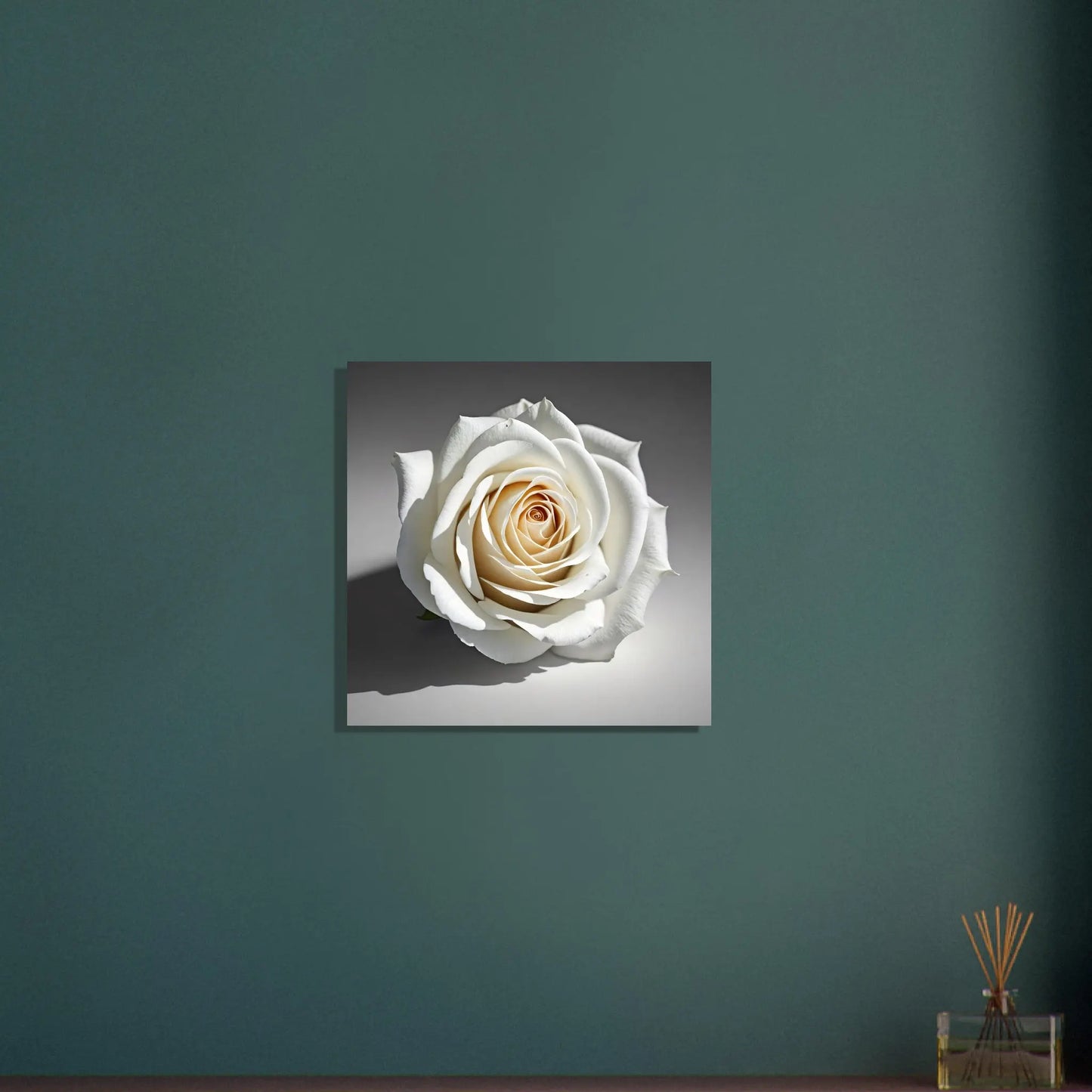 Aluminiumdruck - Weiße Rose - Foto Stil, KI-Kunst - RolConArt, Pflanzen, 50x50-cm-20x20